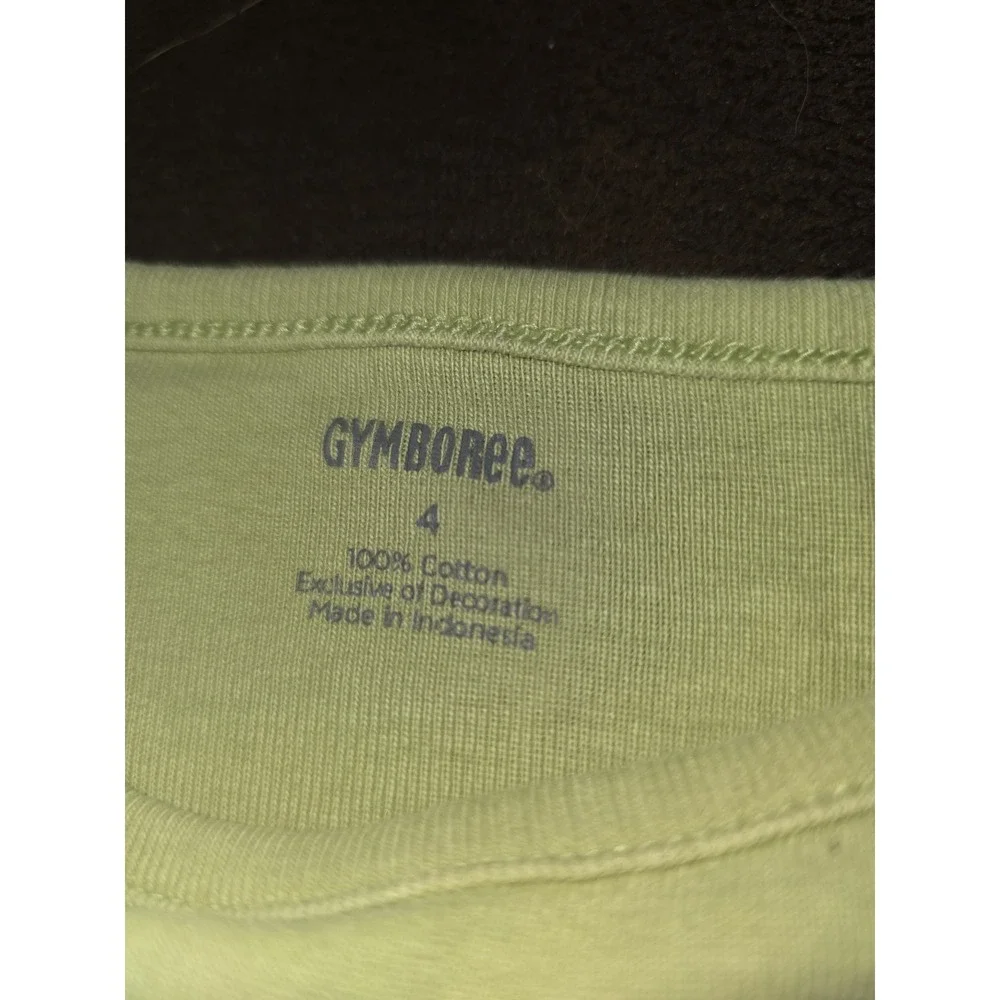 Gymboree cowgirls at heart Big Sisters ROCK! Long Sleeve Shirt size 4